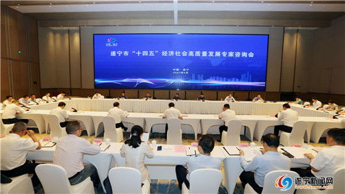 擘畫(huà)藍(lán)圖聚智慧，精準(zhǔn)把脈謀發(fā)展——我市成功召開(kāi)“十四五”經(jīng)濟(jì)社會(huì)高質(zhì)量發(fā)展專(zhuān)家咨詢(xún)會(huì)